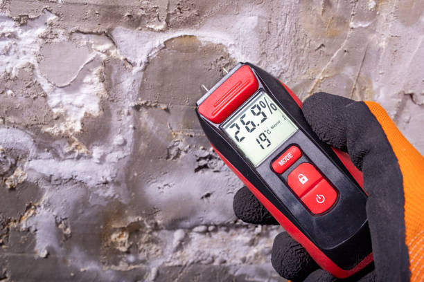 Mold Removal and Inspection in Great Neck Gardens, NY